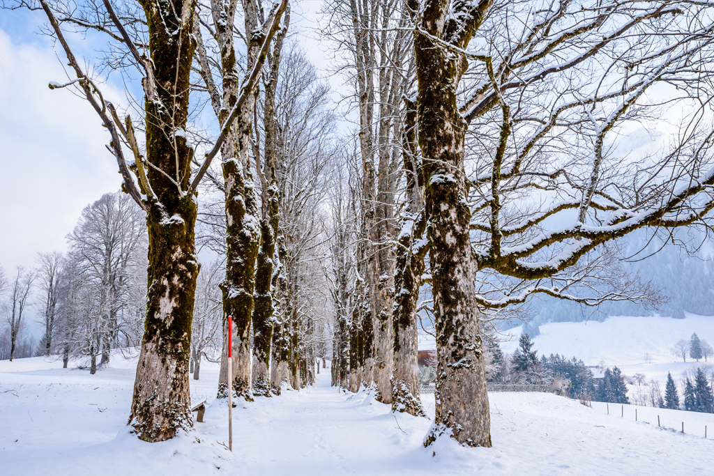 Spazierweg Oberstdorf